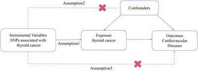 Thyroid cancer and cardiovascular diseases: a Mendelian randomization study